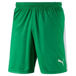 Remise 🥰 Rugby Homme Puma Short Puma Liga Shorts VERT 🤩