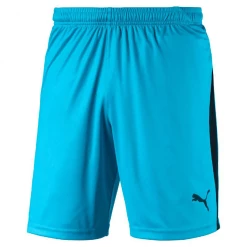 Alternative view of Remise 🥰 Rugby Homme Puma Short Puma Liga Shorts VERT 🤩